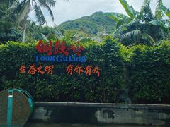 -海南铜鼓岭景区