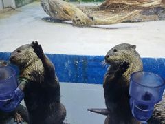 -华夏文旅海洋公园