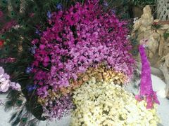 -南通洲际绿博园