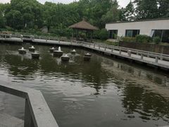 -渔堂公园餐厅·本帮菜(乐园路店)