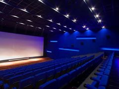 -奥斯卡升龙国际影城(RealD Cinema)