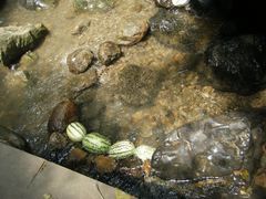 -华蓥山天意谷景区