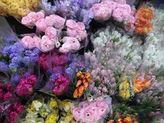 -三圣花乡旅游区