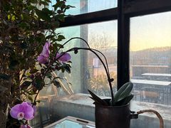 -北马山庄植趣咖啡