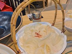 花胶海参煲鸡-喜上喜鸡煲翅(吉大店)