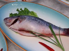 -鸡毛换糖(高桥店)