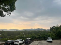 -上海市保健医疗中心