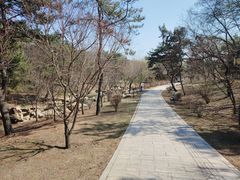 -沈阳市东陵公园