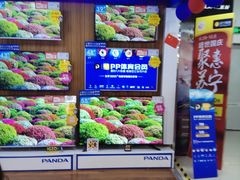 -苏宁易购(Suning Pro南京山西路店)