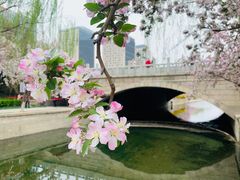 -海棠花溪(元大都城垣遗址公园)