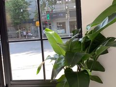 -Fridi Patisserie Cafe