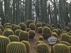 -南山植物园