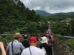 -大余丫山旅游度假区