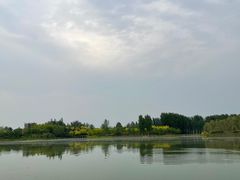 -东郊湿地公园