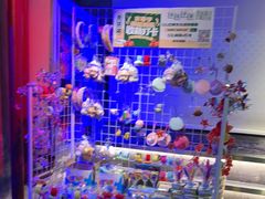 -水巷子·巴掌腰片重庆火锅(云纺店)