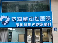 -宠物星动物医院·眼科·异宠·猫科(江南大道总院)