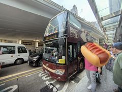 -Big Bus Tours 敞篷观光巴士