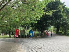 -中山市树木园