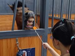 -骑乐马术(广州奥体优托邦中心)