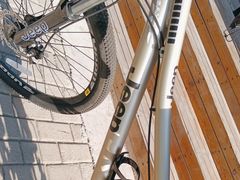 -道路口单车爱瓦士dahon大行