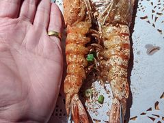 -前海沿·青岛菜(大拇指广场石老人店)