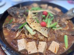 -老板恋上鱼(高新万达店)