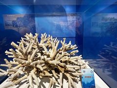 -中国地质博物馆
