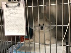-美联众合动物医院·24h京西诊疗中心