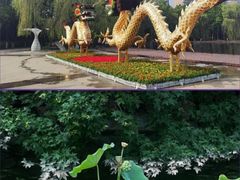 -宝鸡植物园
