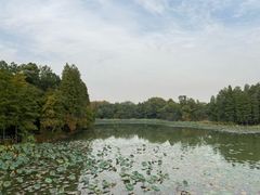 -东湖落雁景区