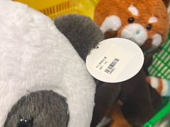 -石排湾郊野公园