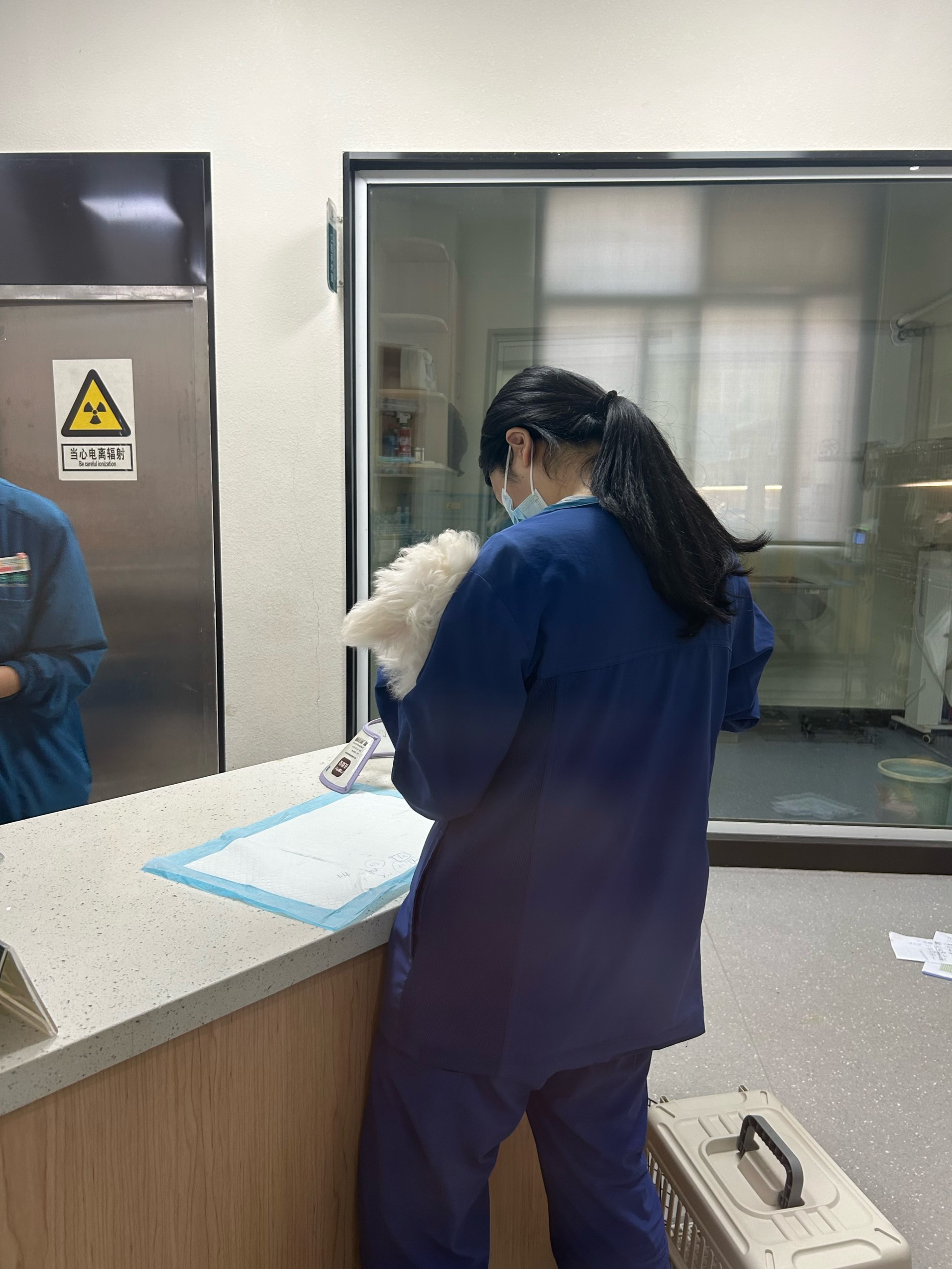 包含北京陪診服務公司	北京陪診收費價格表門頭溝區號販子聯系方式「找對人就有號」的詞條