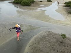 -北海金海湾红树林生态旅游区