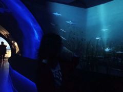 -大庆市博物馆