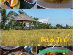 -Bebek Joni Restaurant
