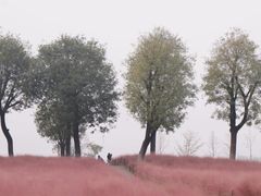 -汉长安城未央宫国家考古遗址公园