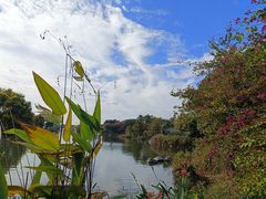-海珠湖公园