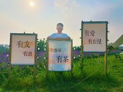 -薰衣草NE庄园