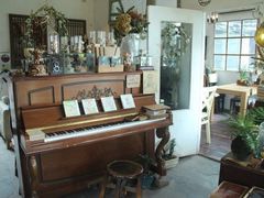 -懒鱼时光馆(沙坪坝店)