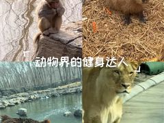 -北京佳信宠物医院