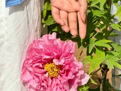 -洛阳市隋唐城遗址植物园