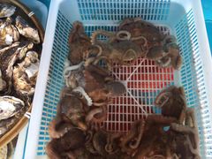 -港畔赶海蒸汽海鲜烧烤自助(仙螺岛店)