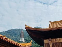 -深圳仙湖植物园