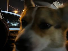 -彤德莱(青岛人民路店)