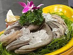 -一斗火锅·招财羊毛肚(泰吉滨江店)