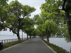 -东湖落雁景区