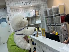 -柏萃动物医院·骨科·牙科