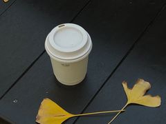 -陆家嘴中心绿地