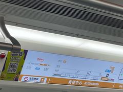 -奥体中心(地铁站)
