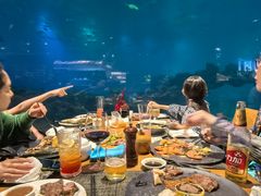 -海棠湾洲际-涛·海底餐厅·美人鱼·自助餐·海底隧道